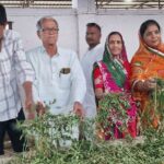 गोगापुर गौशाला में गायों को चारा खिलाते समाजजन, बरडिया परिवार द्वारा जीव दया और गौ सेवा का दृश्य