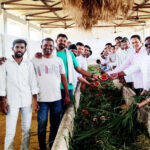 गोगापुर गौशाला में गायों को चारा खिलाते हुए श्रद्धालु, पुण्यतिथि पर आयोजित गौसेवा कार्यक्रम का दृश्य