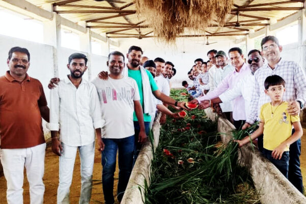 गोगापुर गौशाला में गायों को चारा खिलाते हुए श्रद्धालु, पुण्यतिथि पर आयोजित गौसेवा कार्यक्रम का दृश्य