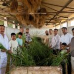 अक्षय तृतीया पर सेवा का अनोखा उदाहरण