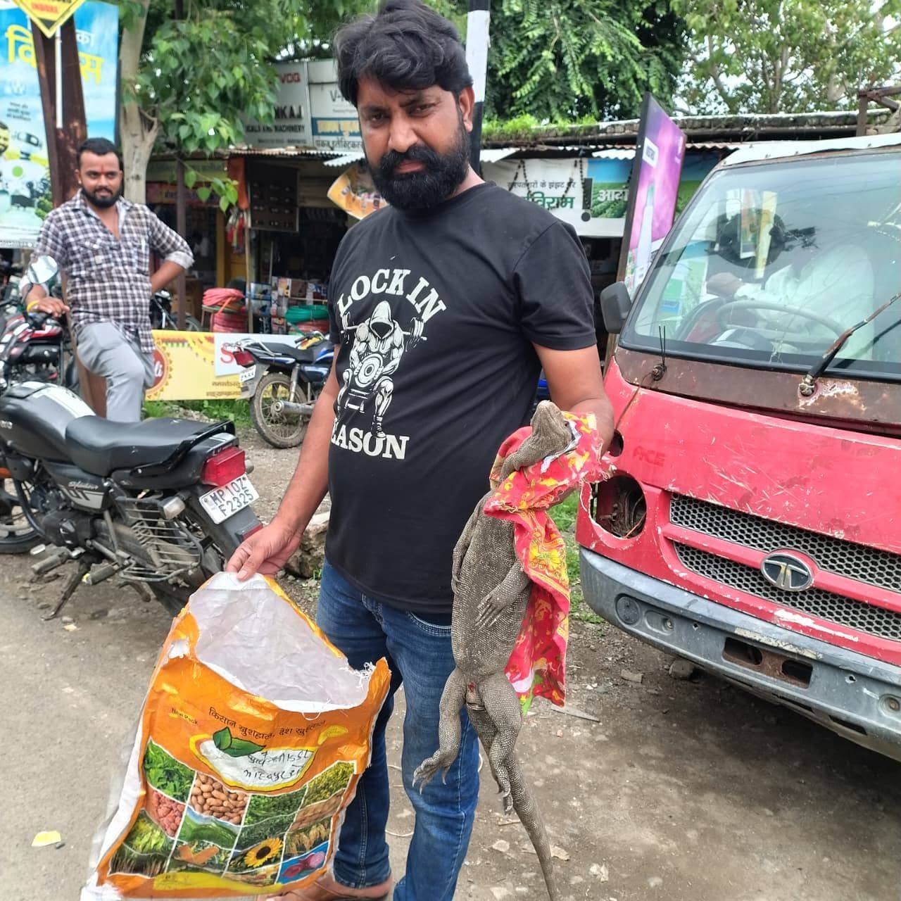 महिदपुर रोड में गोदाम से गोह का सुरक्षित रेस्क्यू, सर्प मित्र मनीष मसीह ने बचाई जान