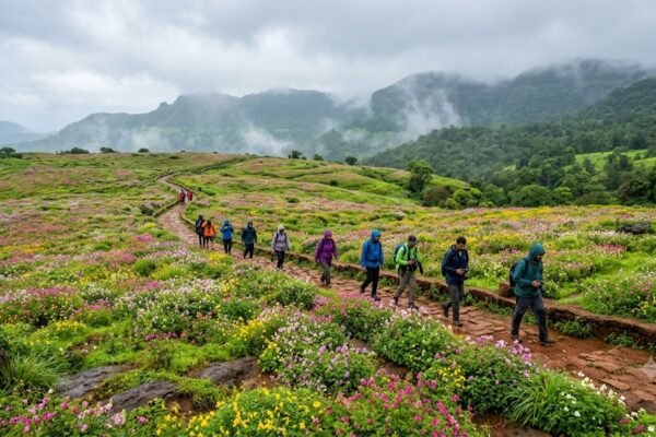 कास पठार 1 सितंबर से पर्यटकों के लिए खुलेगा, नई सुविधाओं के साथ फूलों के मौसम का स्वागत
