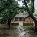 सावन की बारिश में हरे-भरे आम के पेड़ और प्रेम की यादों को दर्शाती हिंदी कविता मन अमराई महकी रे