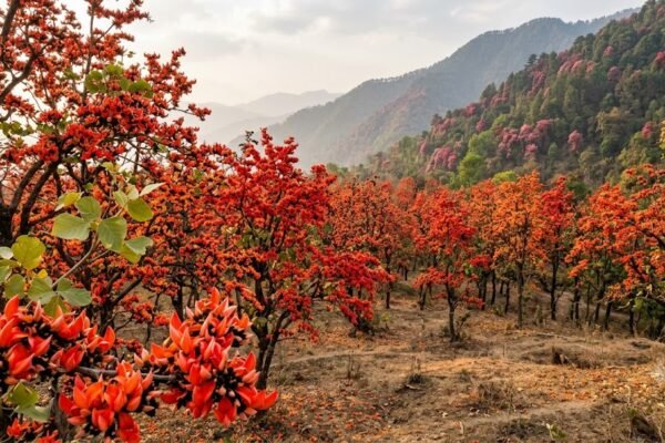 पलाश और बुरांश के फूलों से दहकता जंगल