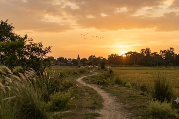 सुनहरी ढलती सांझ में डूबता सूरज और किसी प्रिय की याद में खोया मन
